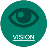 vision